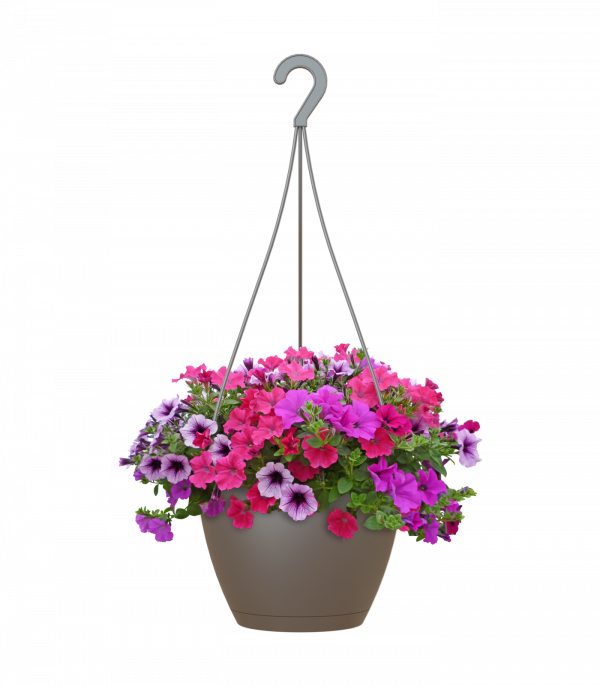 pot suspension maroc