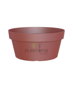 Prix bol plantes Maroc | Bol spécial Bonsaï, Succulentes, Cactées et compositions couleur Rouge Sombre | اصيص بونساي، عصاريات و صباريات