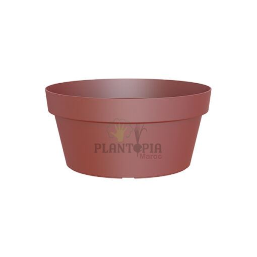 Prix bol plantes Maroc | Bol spécial Bonsaï, Succulentes, Cactées et compositions couleur Rouge Sombre | اصيص بونساي، عصاريات و صباريات