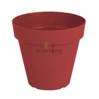 pot rouge Maroc | pot fleurs Maroc | plants containers in Morocco | Pots for plants in Morocco | pot de plante Maroc | Plante intérieur et extérieur | محبق / محابق الزراعة المنزلية في المغرب
