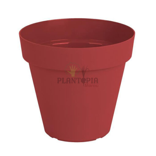 pot rouge Maroc | pot fleurs Maroc | plants containers in Morocco | Pots for plants in Morocco | pot de plante Maroc | Plante intérieur et extérieur | محبق / محابق الزراعة المنزلية في المغرب