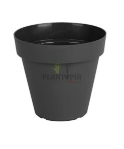 Pot noir Maroc | Pot Maroc | Pot de plantes Maroc | Prix pots Maroc | محبق اسود للزراعة في المنزل في المغرب