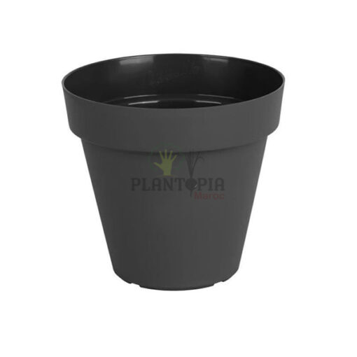 Pot noir Maroc | Pot Maroc | Pot de plantes Maroc | Prix pots Maroc | محبق اسود للزراعة في المنزل في المغرب