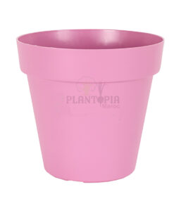 Pot rose Maroc | Pot fleur Maroc | Prix pot Maroc | Plantopia Maroc | Pot moderne maroc | rempotage Maroc | محبق وردي للمنزل في المغرب