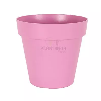 Pot rose Maroc | Pot fleur Maroc | Prix pot Maroc | Plantopia Maroc | Pot moderne maroc | rempotage Maroc | محبق وردي للمنزل في المغرب