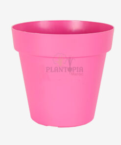 Pot fleur maroc | pot plante maroc | pot maroc | pot fuchsia | pot intérieur et extérieur maroc | محبق الزراعة المنزلية في المغرب