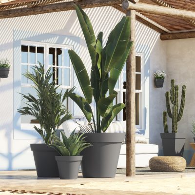 Pot MAroc / pot rond maroc / pot fleur maroc / محبق | محابق