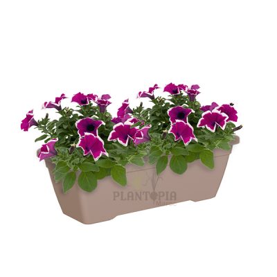 Jardinière 80cm Maroc | Jardinière Maroc | outils jardin Maroc | محبق طويل مستطيل للمنزل في المغرب