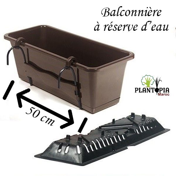 Kit de débarquement Bonsai - Cadeau de jardinage Maroc