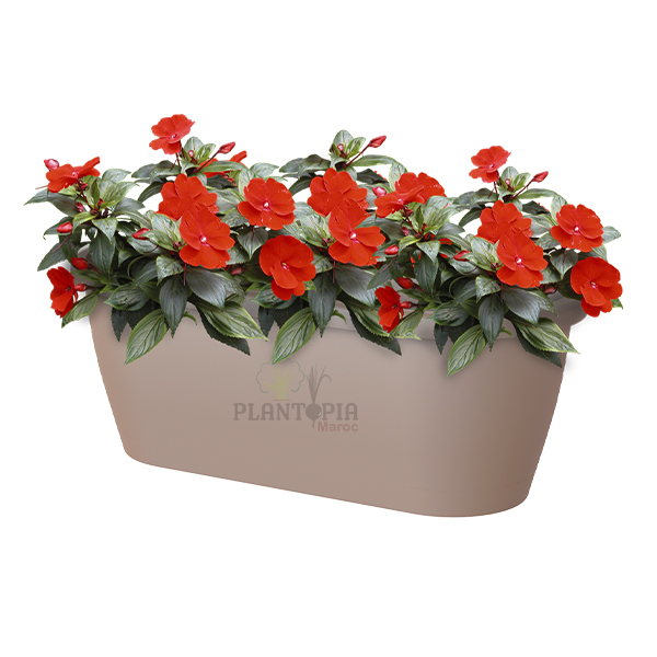 Jardinière murale élégante au Maroc, Wall plant box