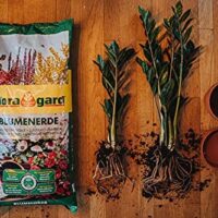 terreau maroc / tourbe maroc / prix terreau Maroc / Plantopia Maroc / Jardinerie Maroc / phyto Maroc / substrat Maroc / NPK Maroc / ثمن تربة زراعية مغرب
