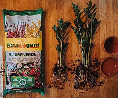 terreau maroc / tourbe maroc / prix terreau Maroc / Plantopia Maroc / Jardinerie Maroc / phyto Maroc / substrat Maroc / NPK Maroc / ثمن تربة زراعية مغرب