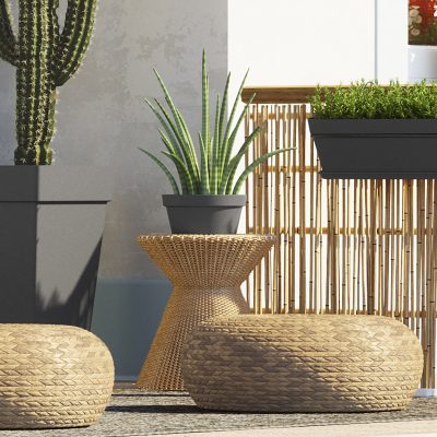 Bol plantation Maroc | Pot bonsaï Maroc | Pot succulente Maroc | Pot cactus Maroc | Pot composition Maroc | Plants Bowl Morocco [ Bonsaï Maroc | اصيص بونساي في المغرب