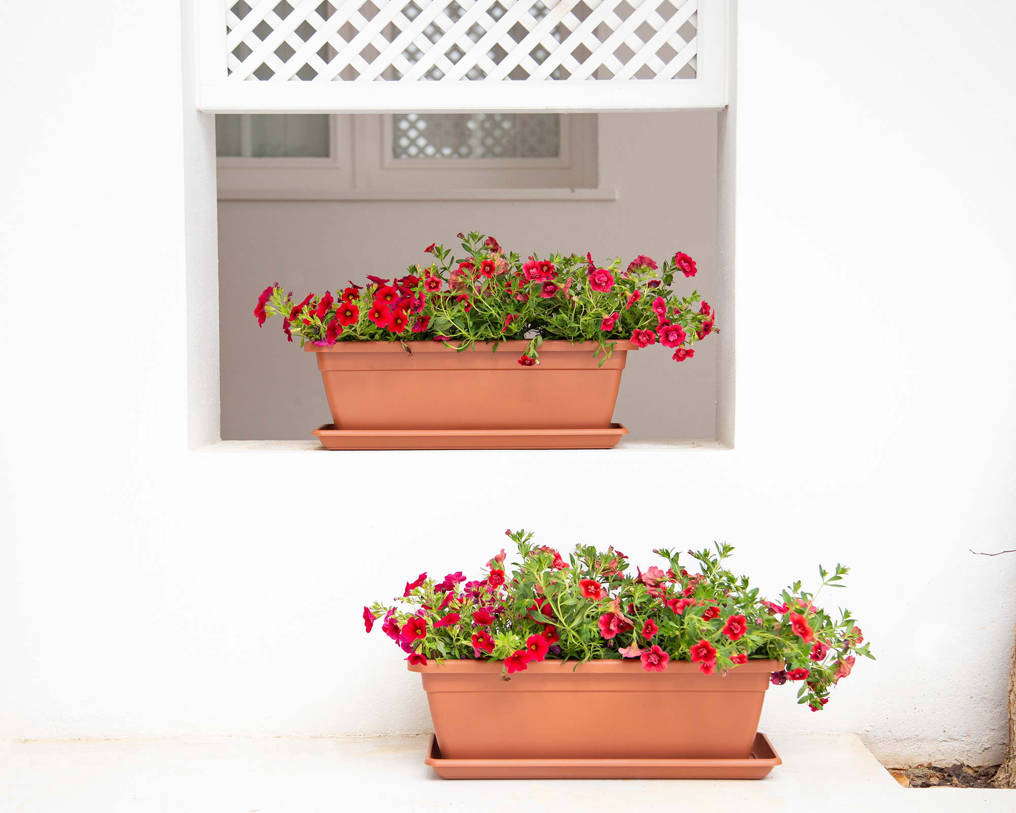 Ensemble de 6 pots de plantes en poches, jardinière Liban