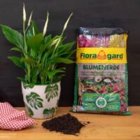 terreau maroc / tourbe maroc / prix terreau Maroc / Plantopia Maroc / Jardinerie Maroc / phyto Maroc / substrat Maroc / NPK Maroc / ثمن تربة زراعية مغرب