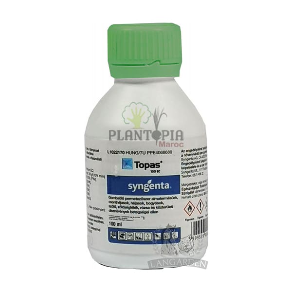 Fongicide Large Spectre Score®250 EC - 100ml - Plantopia Maroc