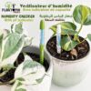 humidité plantes en pot Maroc / Verificateur d'humidité Maroc / Testeur d'humidité Maroc / humidity tester Morocco / جهاك كشف الرطوبة / جهاز قياس الرطوبة للنباتات