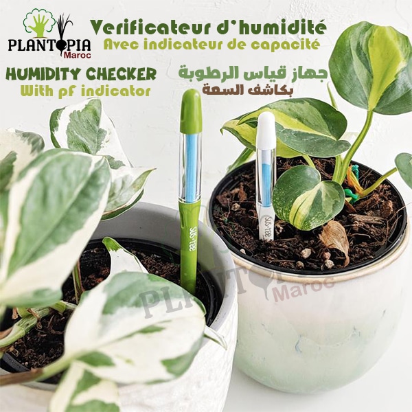Vérificateur et testeur d'humidité - جهاز قياس الرطوبة للنباتات