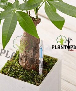 humidité plantes en pot Maroc / Verificateur d'humidité Maroc / Testeur d'humidité Maroc / humidity tester Morocco / جهاك كشف الرطوبة / جهاز قياس الرطوبة للنباتات
