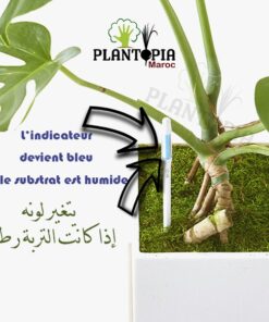 humidité plantes en pot Maroc / Verificateur d'humidité Maroc / Testeur d'humidité Maroc / humidity tester Morocco / جهاك كشف الرطوبة / جهاز قياس الرطوبة للنباتات