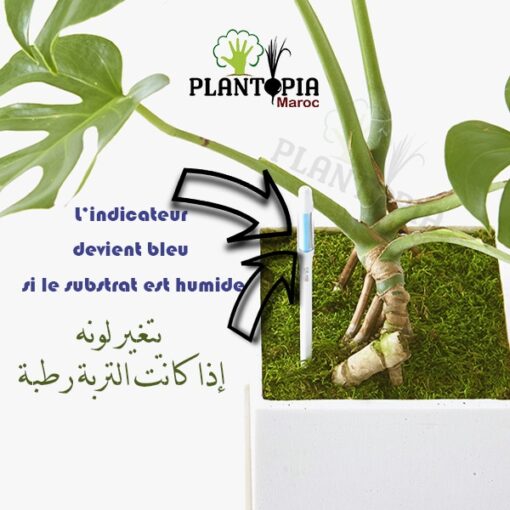 humidité plantes en pot Maroc / Verificateur d'humidité Maroc / Testeur d'humidité Maroc / humidity tester Morocco / جهاك كشف الرطوبة / جهاز قياس الرطوبة للنباتات