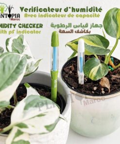 humidité plantes en pot Maroc / Verificateur d'humidité Maroc / Testeur d'humidité Maroc / humidity tester Morocco / جهاك كشف الرطوبة / جهاز قياس الرطوبة للنباتات