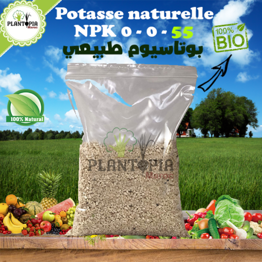 potasse minérale naturelle maroc | sulfate de potasse engrais amendement maroc | pris potasse maroc | engrais npk bio maroc | fertilisant potasse bio naturel maroc | بوتاسيوم طبيعي وعضوي | سماد البوتاس للنباتات في المغرب | سولفات البوتاسيوم لتسميد النباتات في المغرب | ثمن سماد متكامل طببيعي في المغرب