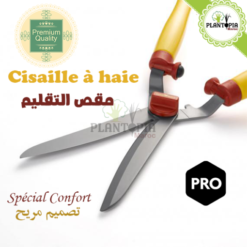 Cisaille à haie Maroc | cisaille inox maroc | cisaille précise maroc | cisaille grandes plantes maroc | cisaille grosse branche maroc | cisaille jardin maroc | مقص لتقليم النباتات الكبيرة في المغرب | مقص الحديقة إينوكس جودة عالية للأغصان السميكة في المغرب | اداة تقليم و زبير النباتات و الأشجار في الحدود و السياج