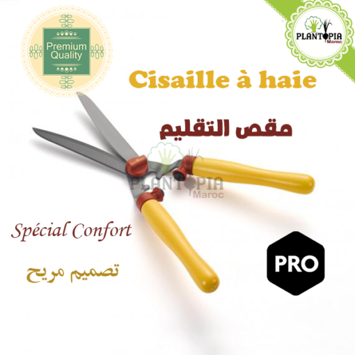 Cisaille à haie Maroc | cisaille inox maroc | cisaille précise maroc | cisaille grandes plantes maroc | cisaille grosse branche maroc | cisaille jardin maroc | مقص لتقليم النباتات الكبيرة في المغرب | مقص الحديقة إينوكس جودة عالية للأغصان السميكة في المغرب | اداة تقليم و زبير النباتات و الأشجار في الحدود و السياج