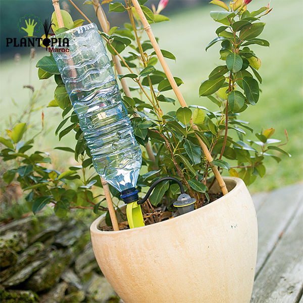 Goutteur pour arrosage goutte à goutte ECO GOUT