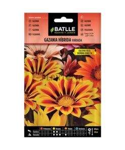 Graines & semences de Gazania Hybride au Maroc | Gazania Maroc | Fleur Maroc | Graines florales au Maroc | Graines de fleurs au Maroc | بذور الجازانيا في المغرب | بذور الغازانيا الهجينة في المغرب