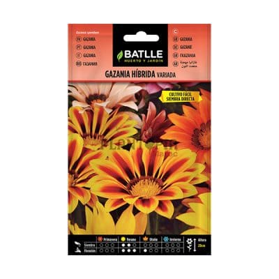 Graines & semences de Gazania Hybride au Maroc | Gazania Maroc | Fleur Maroc | Graines florales au Maroc | Graines de fleurs au Maroc | بذور الجازانيا في المغرب | بذور الغازانيا الهجينة في المغرب