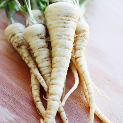 Graines & semences de panais au Maroc | Graines et semences de légumes anciens au Maroc | Graines et semences de carottes blanches au Maroc | variétés de carottes au Maroc | بذور خضروات قديمة في المغرب | بذور جزر ابيض في المغرب | بذور الزراعة المنزلية في المغرب