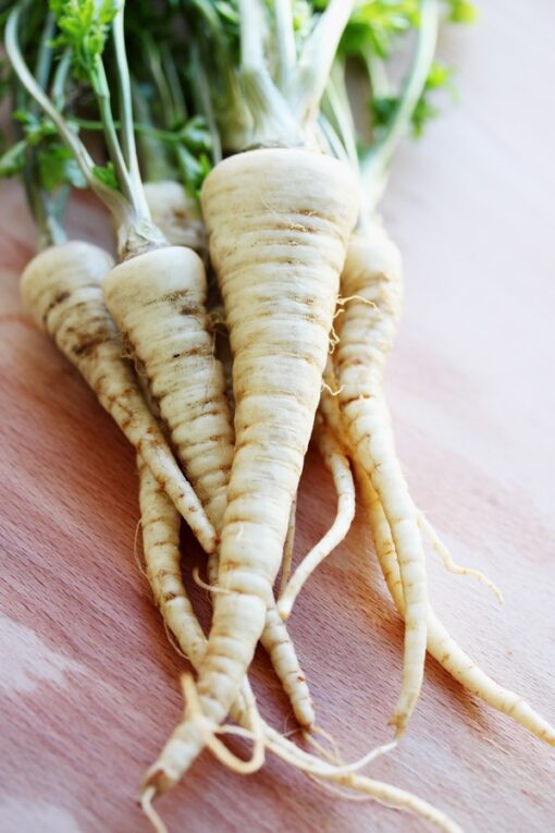 Graines & semences de panais au Maroc | Graines et semences de légumes anciens au Maroc | Graines et semences de carottes blanches au Maroc | variétés de carottes au Maroc | بذور خضروات قديمة في المغرب | بذور جزر ابيض في المغرب | بذور الزراعة المنزلية في المغرب