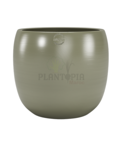 Pot atisanat maroc ceramique poterie Olive Green Vert Olive pour plantes maroc | pot et cache pot fait main maroc | محبق للنبتات في المغرب | اصيص للنباتات في المغرب | وعاء للنباتات في المغرب | لوازم زراعية في المغرب