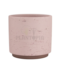 Pot Neria Maroc | Pots for plants morocco | Pot artisanal Maroc | Pot rose Maroc | Pot intérieur Maroc | Pot extérieur Maroc | Plalntopia Maroc | Pot fait à la main Maroc | محبق مصنوع يدويا للنباتات في المغرب | اصيص النباتات في امغرب