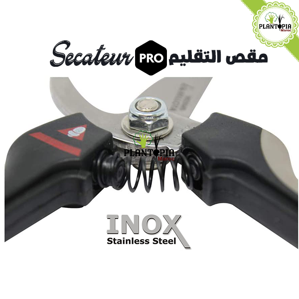 Sécateur Inox Pro - Récolte & effeuillage - Plantopia Maroc