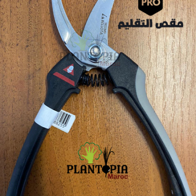 Sécateur Maroc | Secateur bellota maroc | secateur inox plantes jardin marox | secateur taille & recolte maroc | مقص تقليم و زبير النباتات و الأشجار في المغرب | مقص الحديقة إينوكس