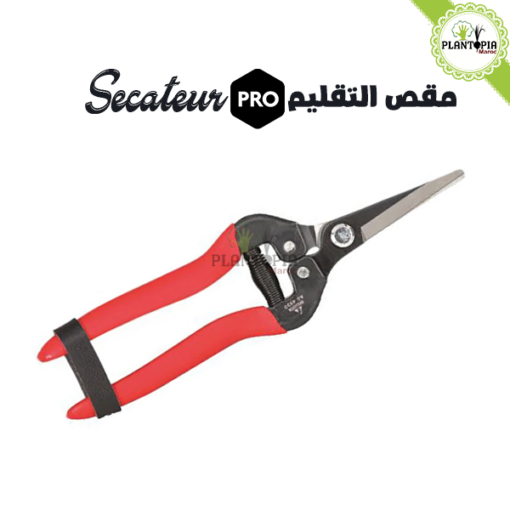 secateur inox maroc | secateur effeuillage et recolte maroc | secateur arbres fruitiers maroc | secateur jardin maroc | مقص تقليم النباتات في المغرب | مقص الحديقة إينوكس في المغرب | اداة تقليم و زبير النباتات و الأشجار