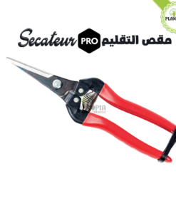 secateur inox maroc | secateur effeuillage et recolte maroc | secateur arbres fruitiers maroc | secateur jardin maroc | مقص تقليم النباتات في المغرب | مقص الحديقة إينوكس في المغرب | اداة تقليم و زبير النباتات و الأشجار