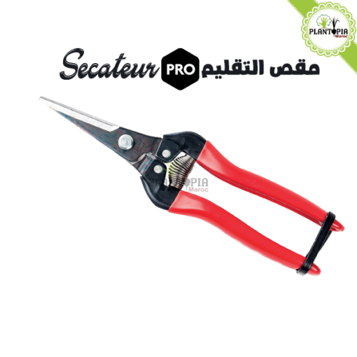 secateur inox maroc | secateur effeuillage et recolte maroc | secateur arbres fruitiers maroc | secateur jardin maroc | مقص تقليم النباتات في المغرب | مقص الحديقة إينوكس في المغرب | اداة تقليم و زبير النباتات و الأشجار