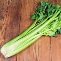 Graines Cèleri Maroc / Semences Celeri Maroc | Celeri Blanc Maroc | Graines Maroc | Semences Maroc | Aromatique Maroc | كرفس ابيG في المغرب | بذور الكرفس في المغرب | بذور الكرافس الابيض للزراعة في المغرب