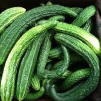 Semences Fegouz Concombre arménien Graines potager bio maroc - Plantopia Maroc