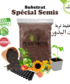 Terreau spécial semis Maroc | terreau semis maroc | terreau spécial bouturage maroc | terreau bouturage maroc | substrat special semis maroc | substrat semis maroc | substrat special bouturage et enracinement maroc | substrat semis bouturage enracinement et repiquage au Maroc | ثمن تربة إنبات البذور في المغرب | وسط زراعي للبذور في المغرب | لاتورب البذور في المغرب | تربة خاصة بالتجذير و النقل و انبات البذور في المغرب