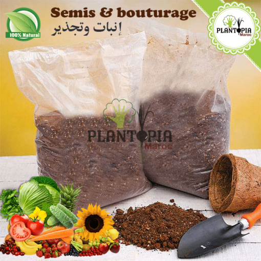 Terreau spécial semis Maroc | terreau semis maroc | terreau spécial bouturage maroc | terreau bouturage maroc | substrat special semis maroc | substrat semis maroc | substrat special bouturage et enracinement maroc | substrat semis bouturage enracinement et repiquage au Maroc | ثمن تربة إنبات البذور في المغرب | وسط زراعي للبذور في المغرب | لاتورب البذور في المغرب | تربة خاصة بالتجذير و النقل و انبات البذور في المغرب