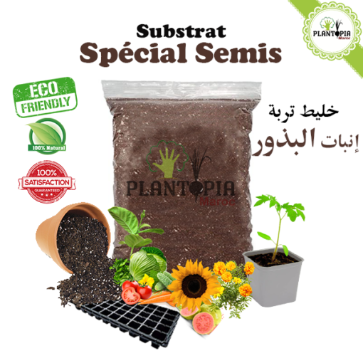 Terreau spécial semis Maroc | terreau semis maroc | terreau spécial bouturage maroc | terreau bouturage maroc | substrat special semis maroc | substrat semis maroc | substrat special bouturage et enracinement maroc | substrat semis bouturage enracinement et repiquage au Maroc | ثمن تربة إنبات البذور في المغرب | وسط زراعي للبذور في المغرب | لاتورب البذور في المغرب | تربة خاصة بالتجذير و النقل و انبات البذور في المغرب