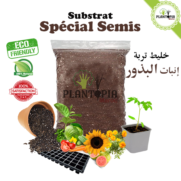 Terreau semis Maroc, Terreau spécial semis, bouturage & repiquage