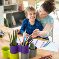 pot & contenant de plantes pour bureau, cuisine et chambre d'enfant au Maroc | Pot violet Maroc | Pot enfant Maroc | Mobilier de maison au Maroc | محبق نباتات للأطفال و المطبخ و المكتب في المغرب | حاوي جمع الاشياء | اصيص مزدوج لون بنفسجي في المغرب | بيع لوازم المنزل و المكتب في المغرب باحسن الاثمنة المناسبة