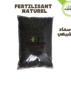 Fumier ovin Maroc | Fumier de mouton dégradé maroc | fertilisant & engrais bio organique et naturel | Sheep manure in Morocco | fumier plantopia maroc | سماد طبيعي في المغرب | سماد روث الغنم الطبيعي و العضوي في المغرب