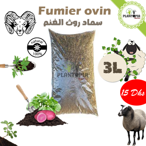 Fumier ovin Maroc | Fumier de mouton dégradé maroc | fertilisant & engrais bio organique et naturel | Sheep manure in Morocco | fumier plantopia maroc | سماد طبيعي في المغرب | سماد روث الغنم الطبيعي و العضوي في المغرب